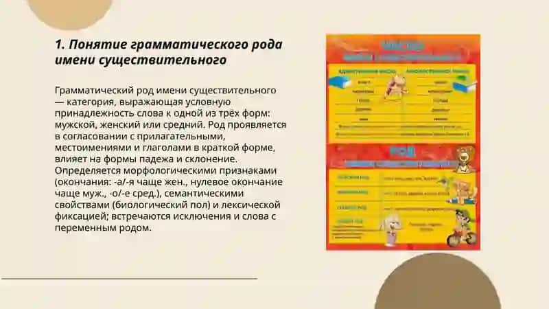 Категории роди и числа имени 3