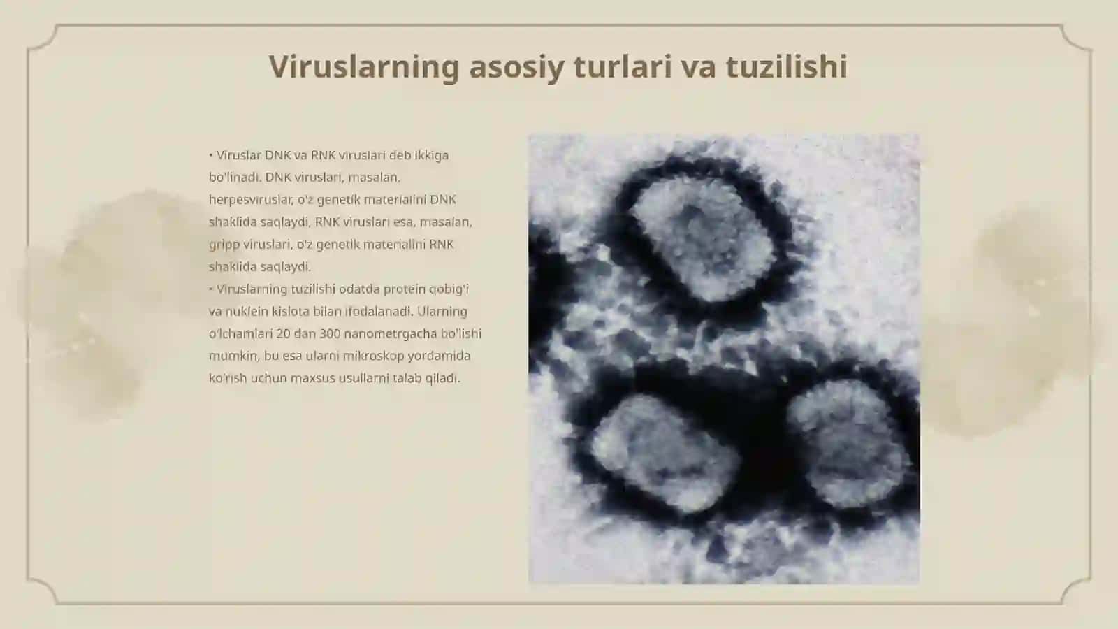 Viruslarning kopayish sikllari DNK va RNK viruslari uchun virus kopayishing bosqichlarini o'rganish 3