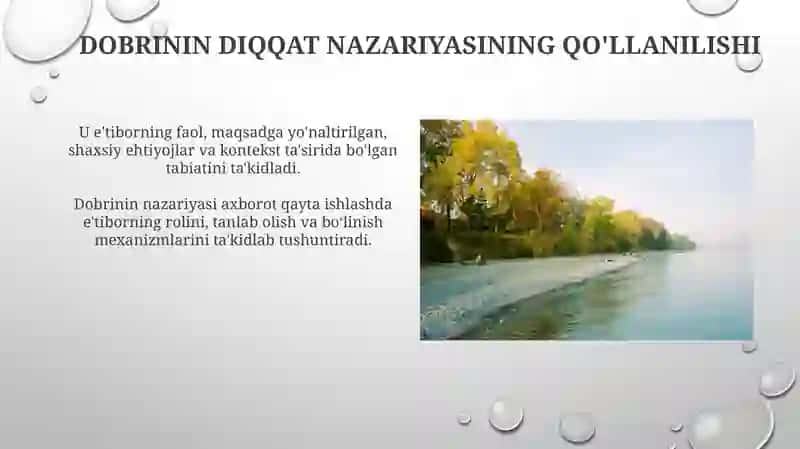 Dobrinnining Diqqat Haqidagi Qarashlari 3