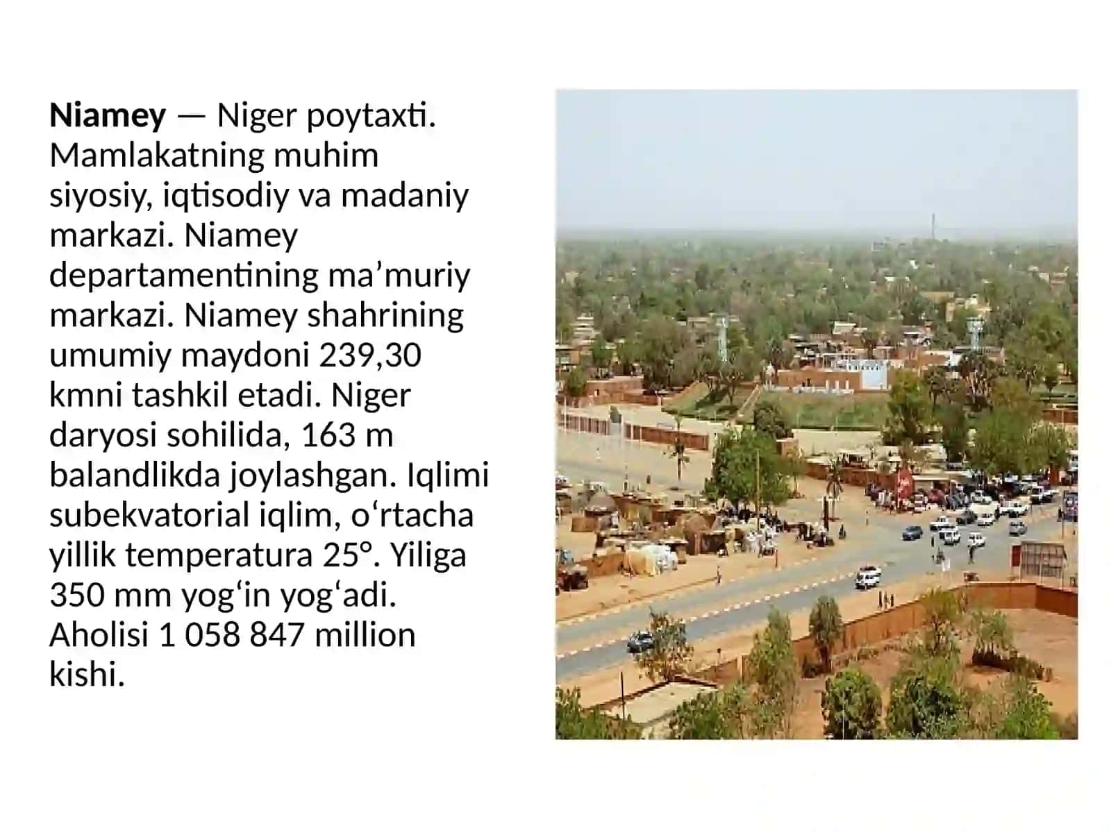 Niger davlati 3
