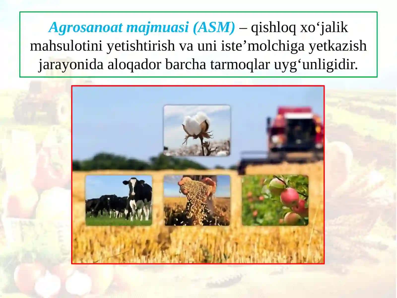 AGROSANOATMAJUMASI 3