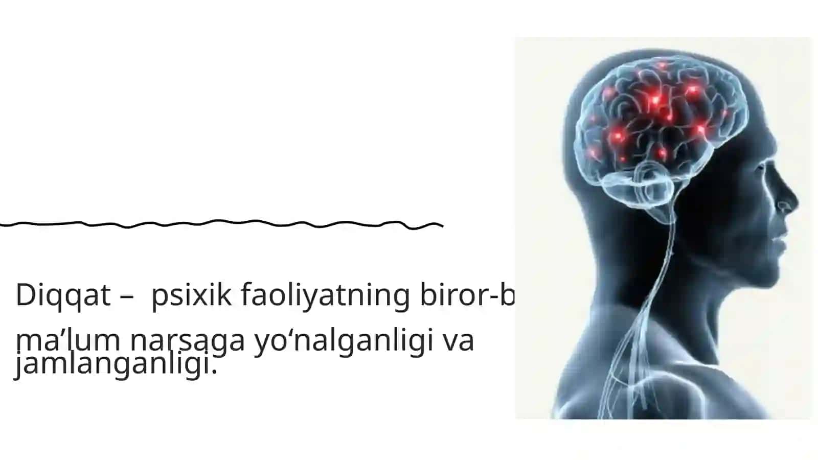 Diqqatning neyrofizologik xususiyatlari va ontogenezda o'zgarishi 3