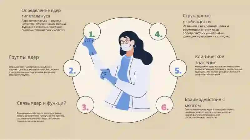 Ядрагипоталамусаиихклиническоезначение 3