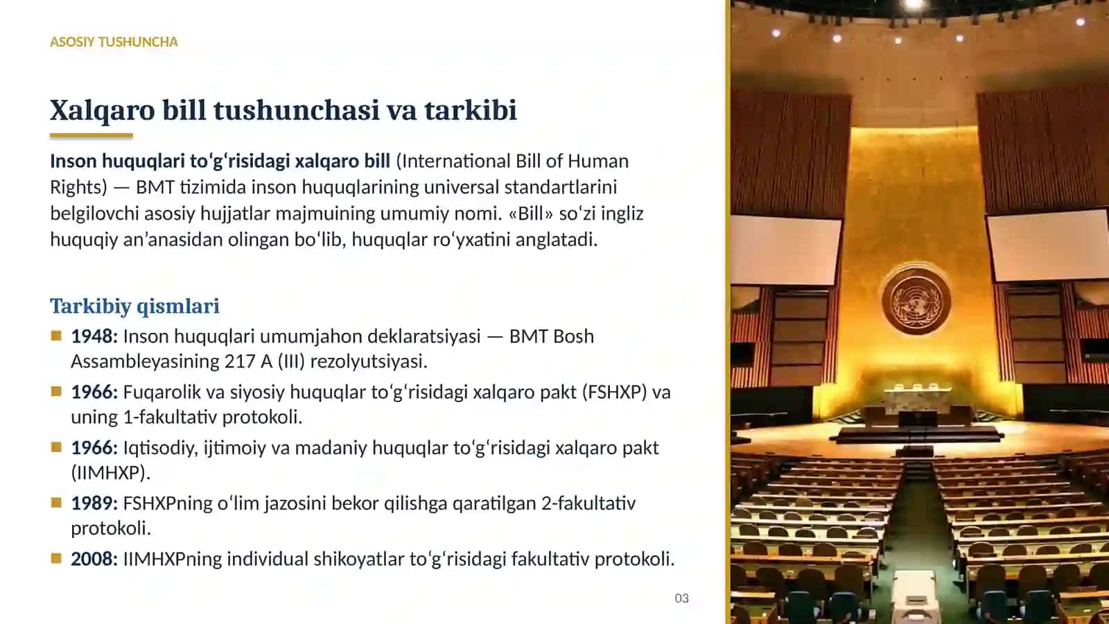 Inson huquqlari umumjahon deklaratsiyasi (1948), 1966-yilgi ikki xalqaro pakt va ularning fakultativ protokollari 3