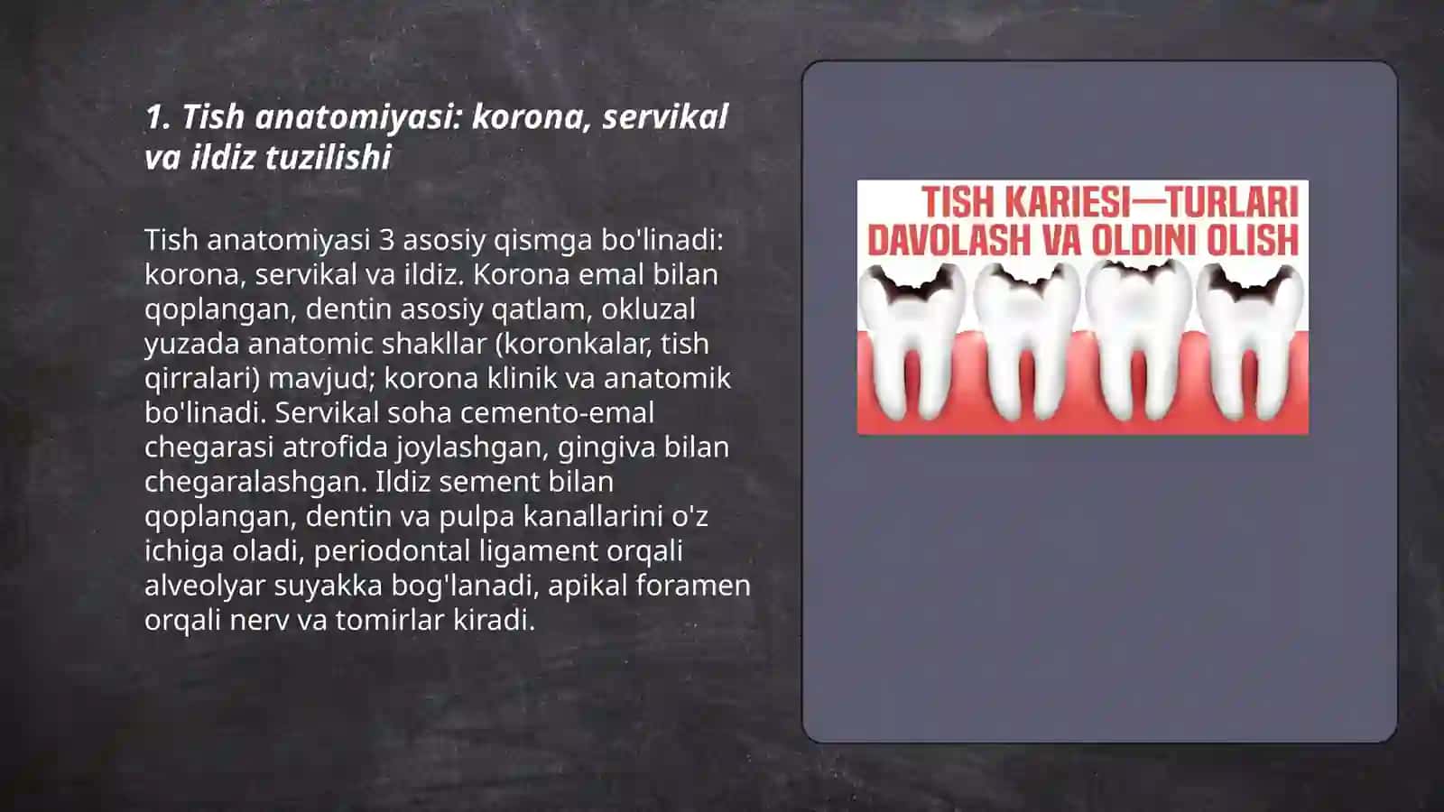 Tishlarni anatomiy fizialogik anomalik tuzulishlari va vazifalari 3