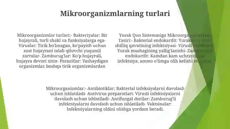 Yurak Qon Sistemasiga Mikroorganizimlarni Tasiri 3