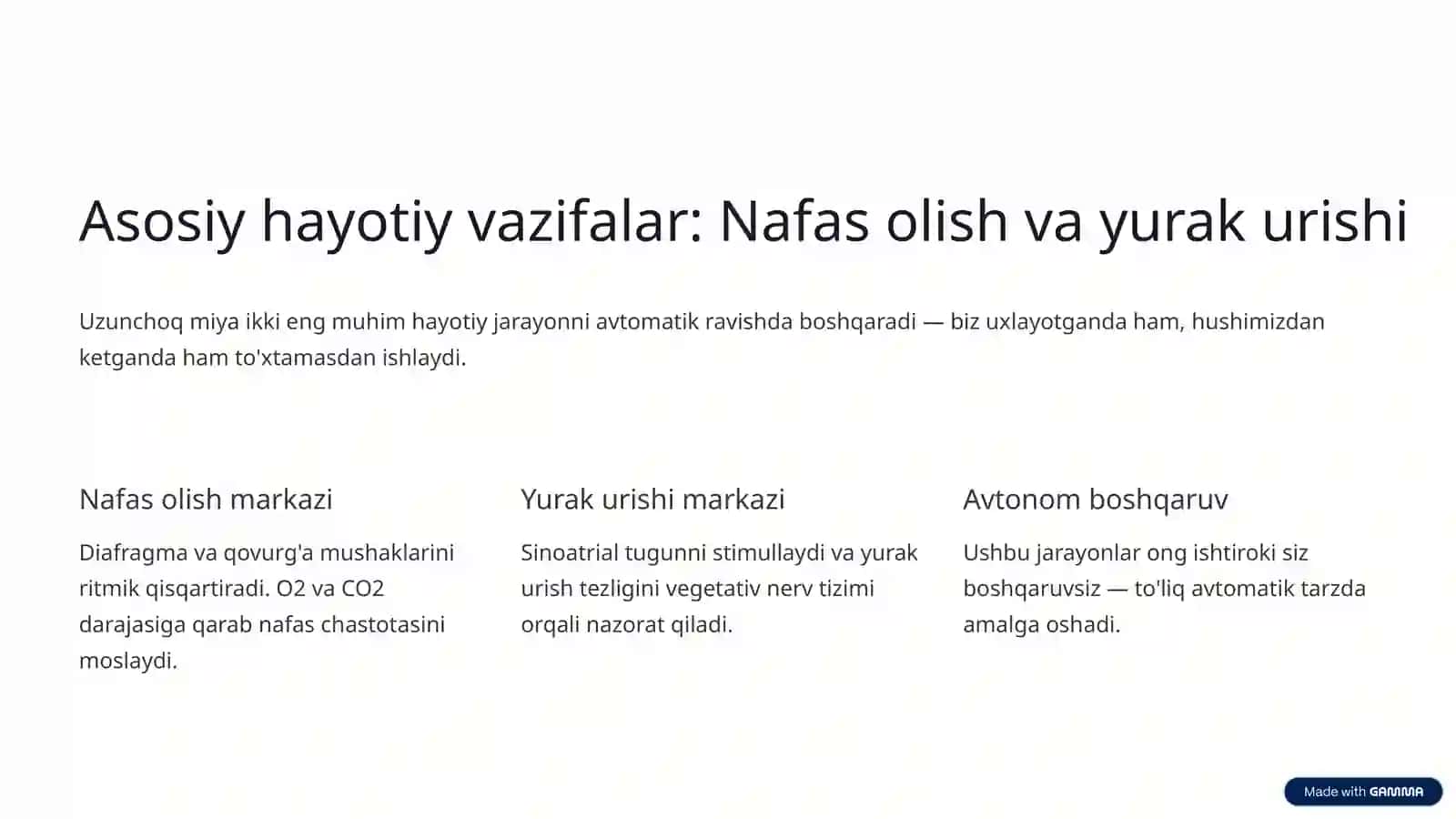 Uzunchoq miya fiziologiyasi 3