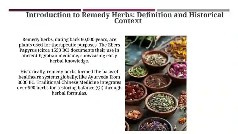 Remedy Herbs 3