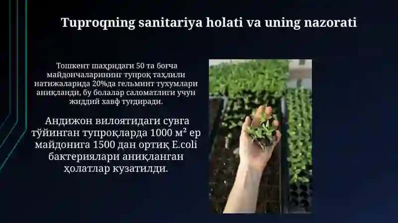 Tuproqning gigienik va epidedemiologik axamiyati 3