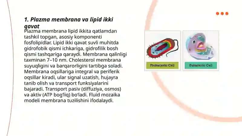 Eukariot hayvon hujayralarining tuzilishi 3