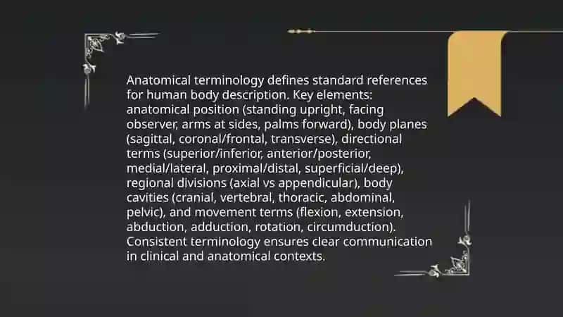 Medical terms 3