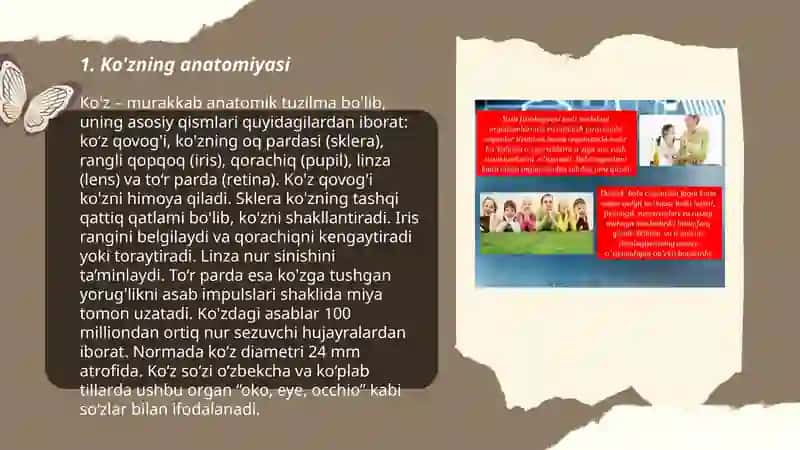 Inson sezgi organlari anatomiyasi, fiziologiyasi va patologiyasi 3