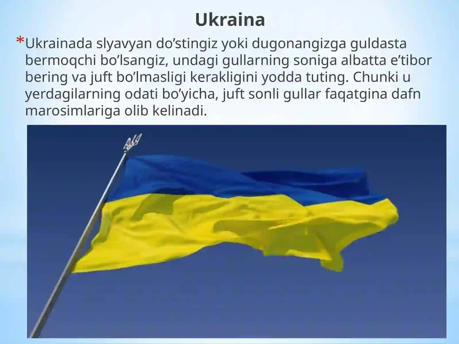 Ba’zi  xorijiy mamlakatlarning odob  doirasidagi ta’qiqlari 3