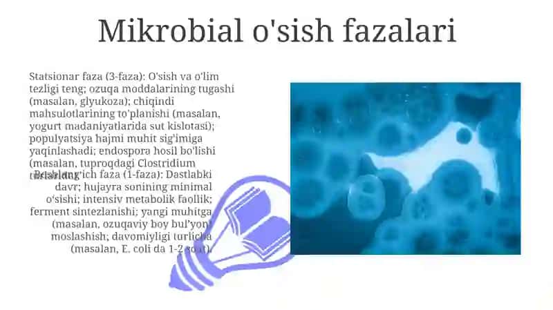 Mikroorganizmlarning rivojlanishi va nafas olishi 3