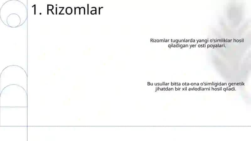 O‘simliklarning jinnisiz ko‘payish turlari 3