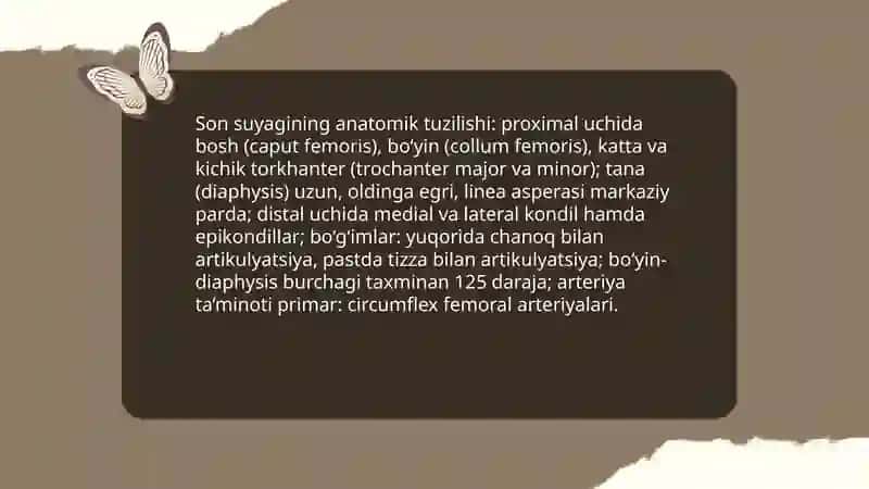 Son suyagi 3