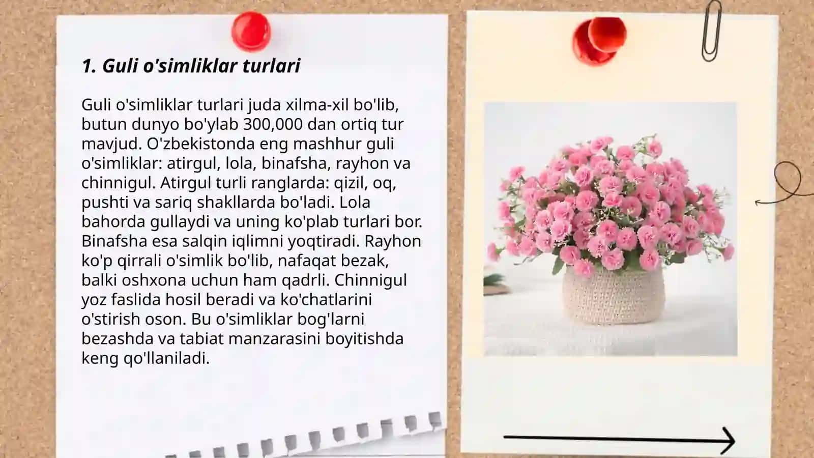Guli o'simliklarni kelib chiqish 3