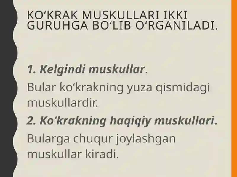Ko‘krak muskullari 3