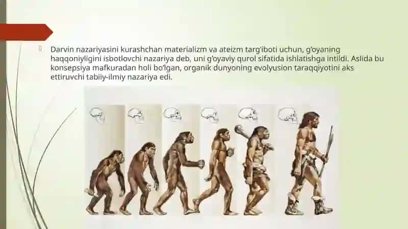 Evolyusiya tushunchasi 3
