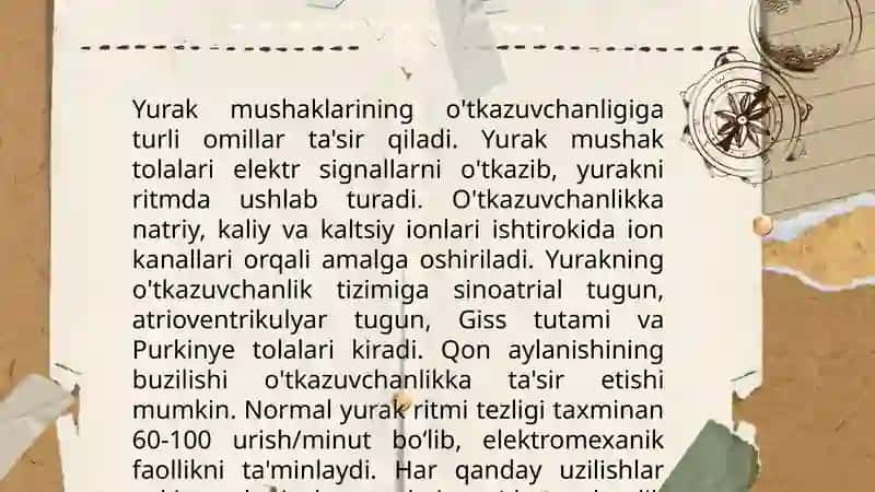 Yurakning gemodinamik funksiyasi. Yurak mushaklarining õtkazuvchanligini õzgarishining fiziologik asosi 3