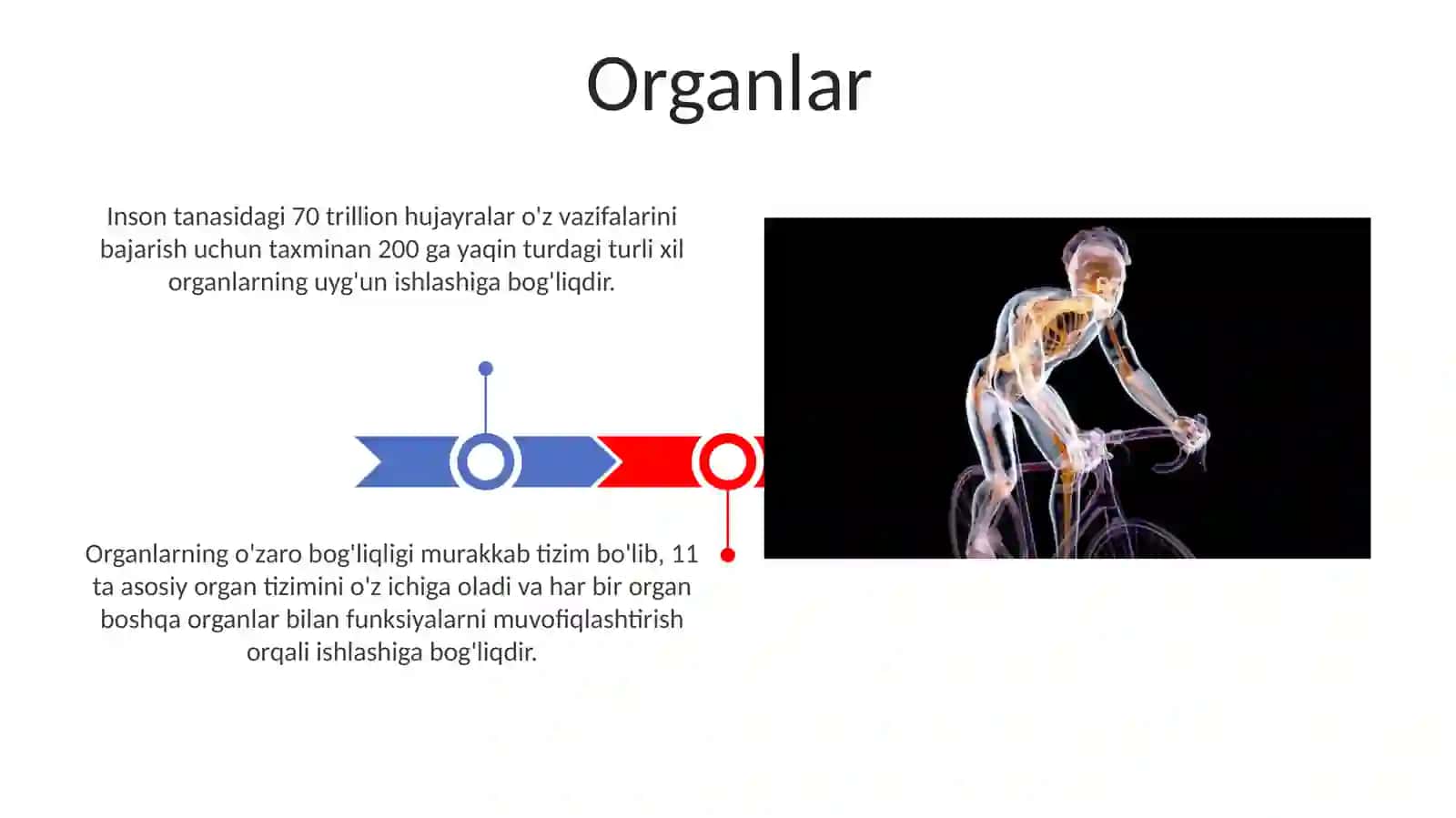 Asosiy fiziologik tushunchalar 3