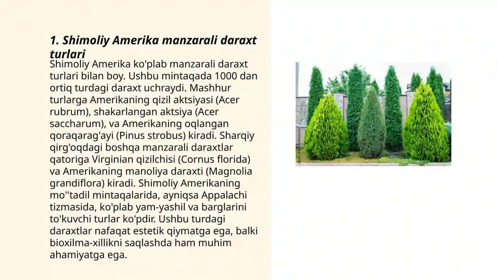Shimoliy Amerika manzarali daraxtlar 3