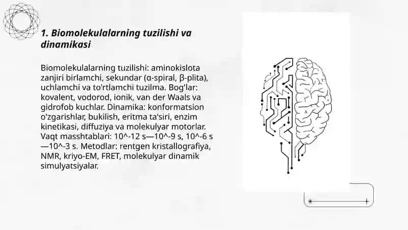 Biofizika 3