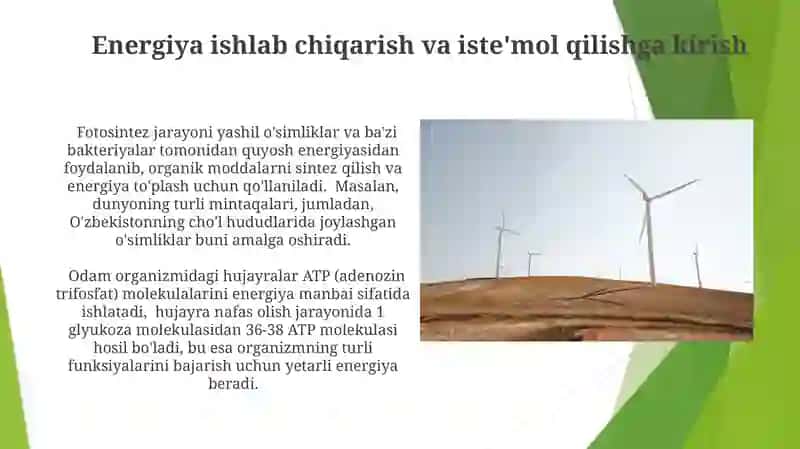 Metabolik Jarayonlarda Energiya Hosil Qilish 3