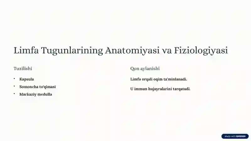 Limfa Tugunlari: Tuzilishi, Vazifalari va Kasalliklari 3