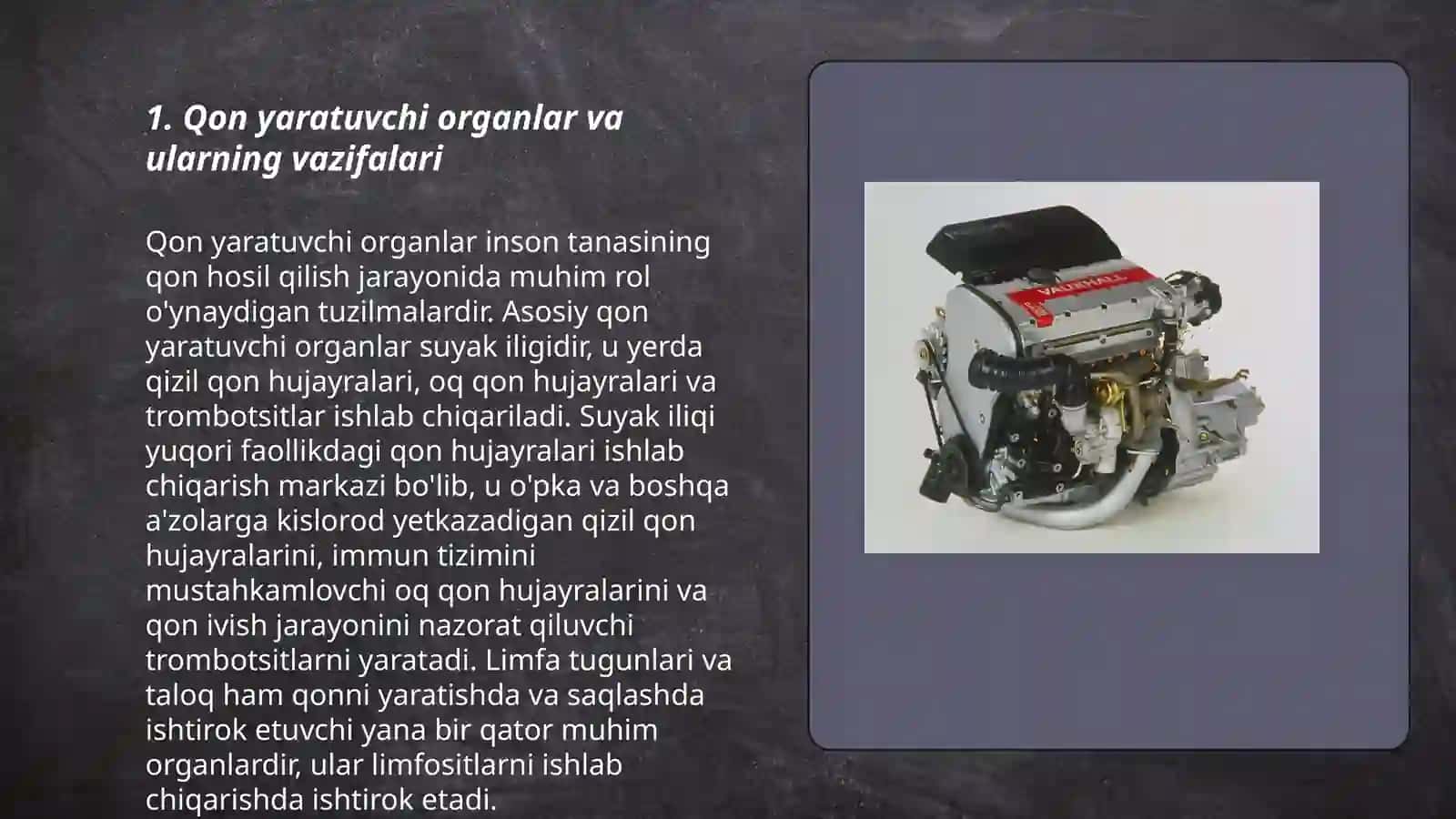 Qan yaratuvchi va immun himoya azolari: taloq, ayrisimon bez qon va immun tizimi haqida tushuncha 3