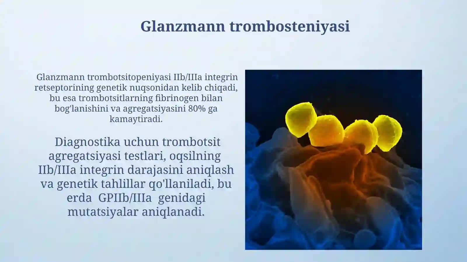 Leykositlar metabolizmi xususiyatlari 3