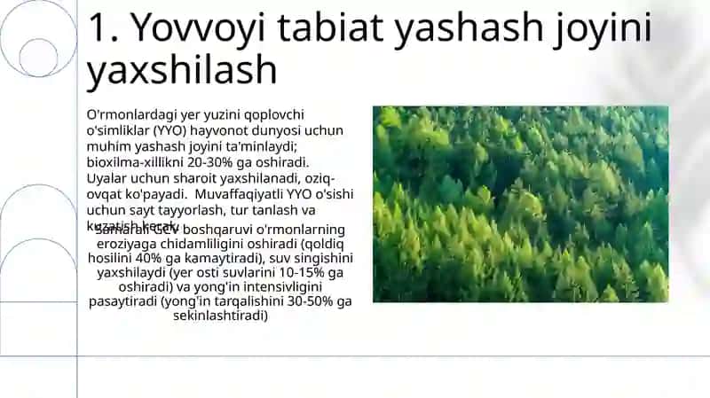 Yer yuzini qoplovchi o'simliklar (YYO) 3