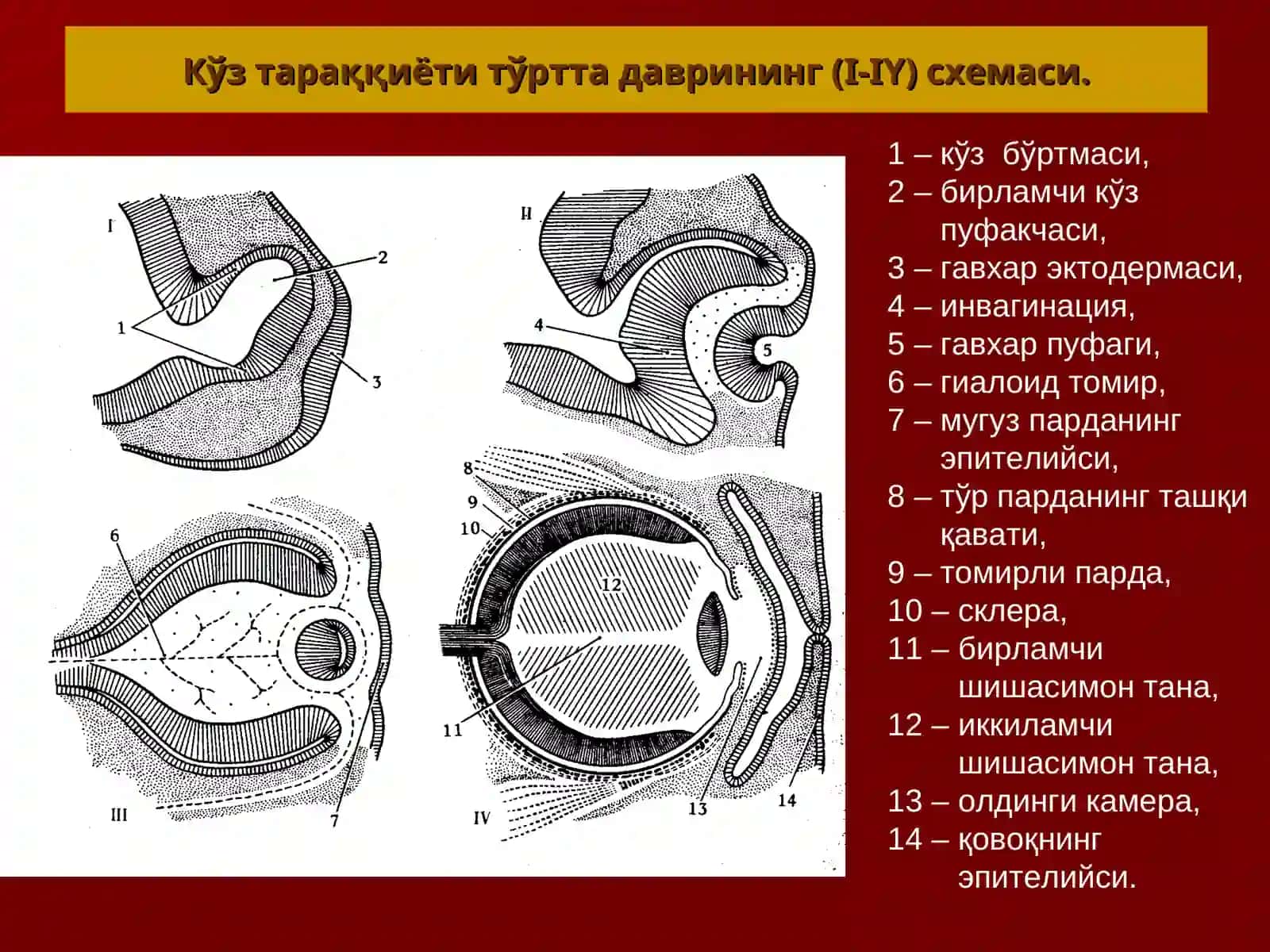СЕЗУВ АЪЗОЛАРИ 3