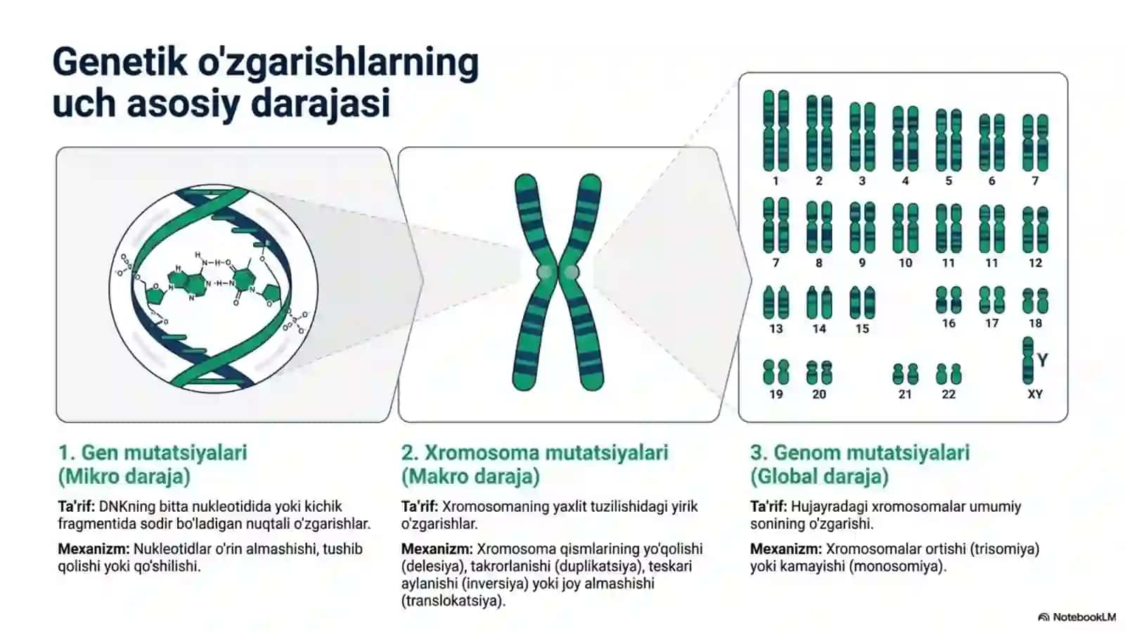 Mutatsiyalar: sabablari, shakllari, ahamiyati va biologik oqibatlari 3