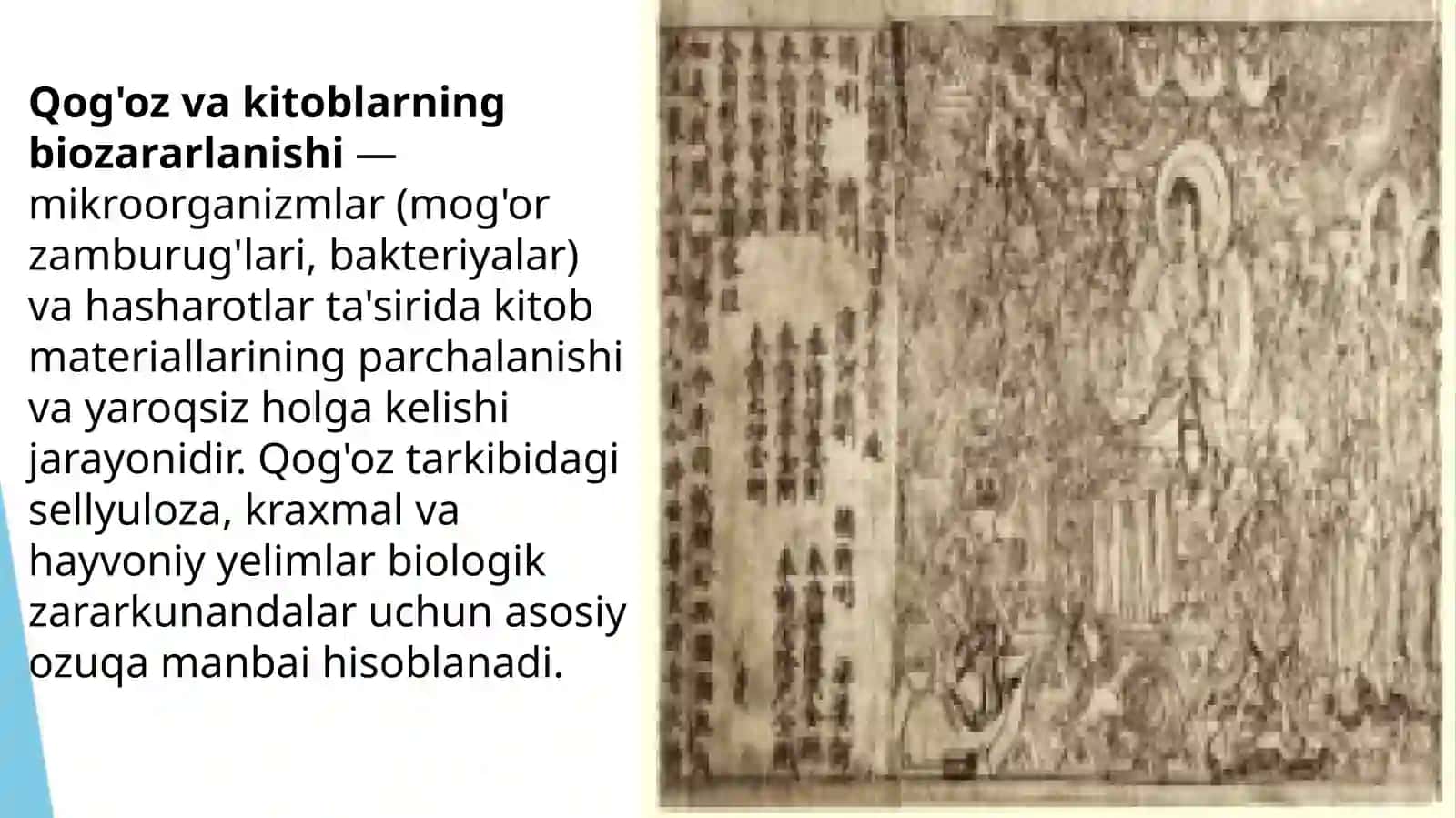 Qog'oz vakitoblarning biozararlanishi 3