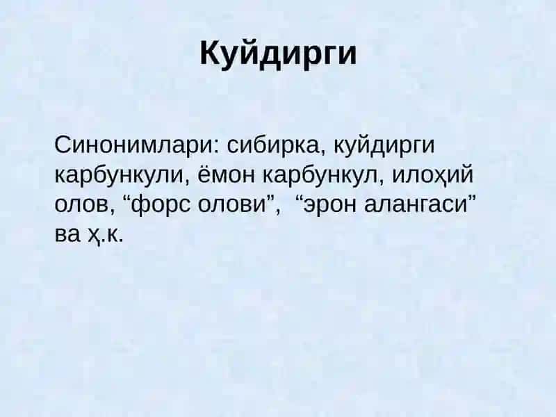 Куйдирги(Anthrax) 3