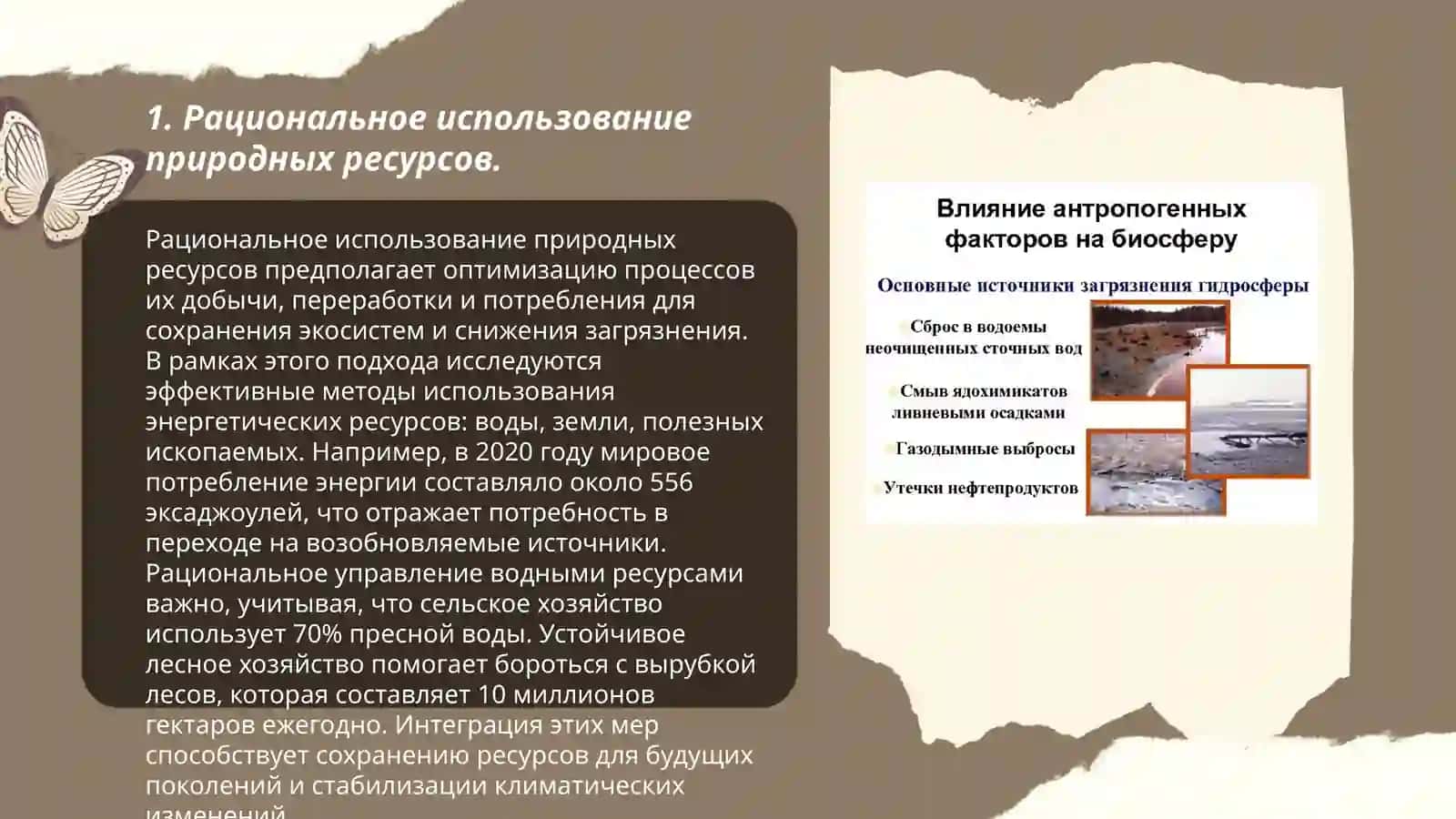Уменьшим отрицательное воздействие антропогенных факторов на биосферу 3