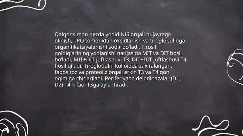 Qalqonsimon, qalqon oldi, buyrak usti bezlari fiziologiyasi 3