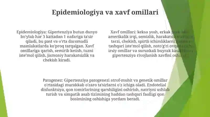 Essensial Gipertoniya Patogenezini Zamonaviy Aspektlari 3