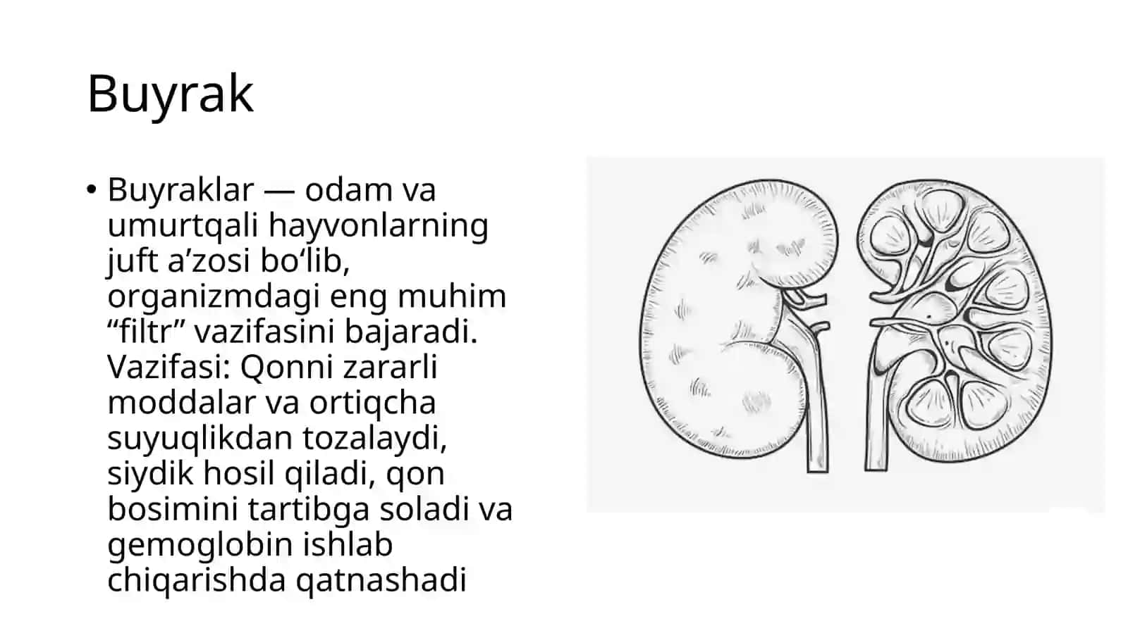 Buyrak kasalliklari 3
