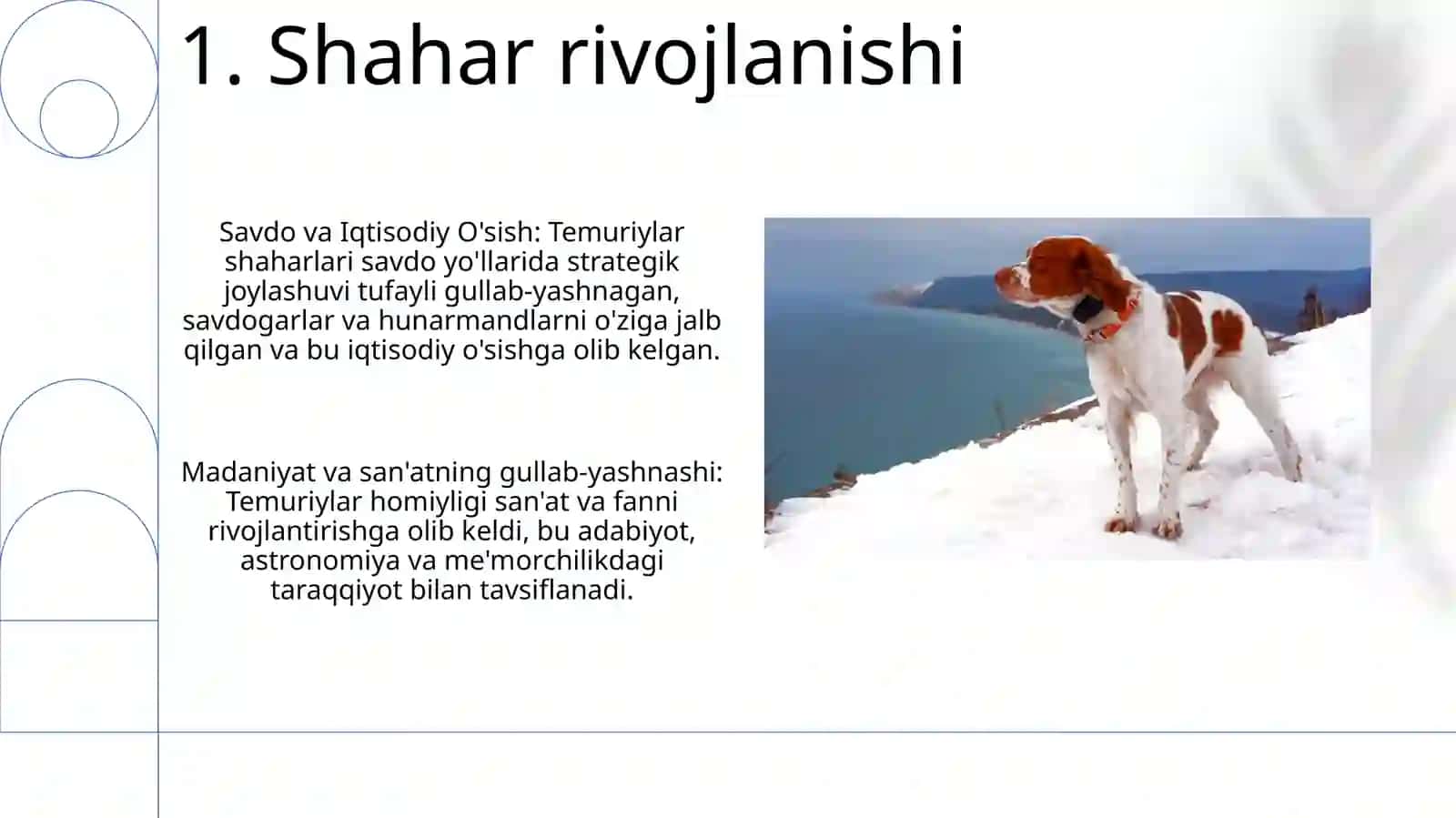 Amir Temur davlati 3