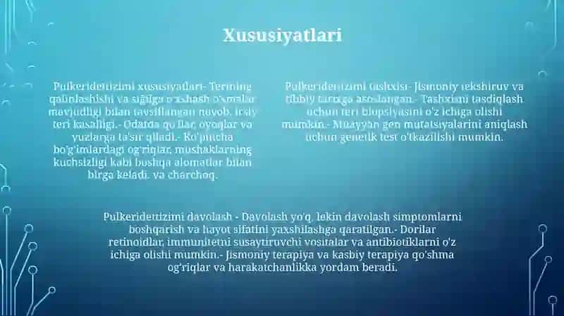 Pulkeridettizimi 3