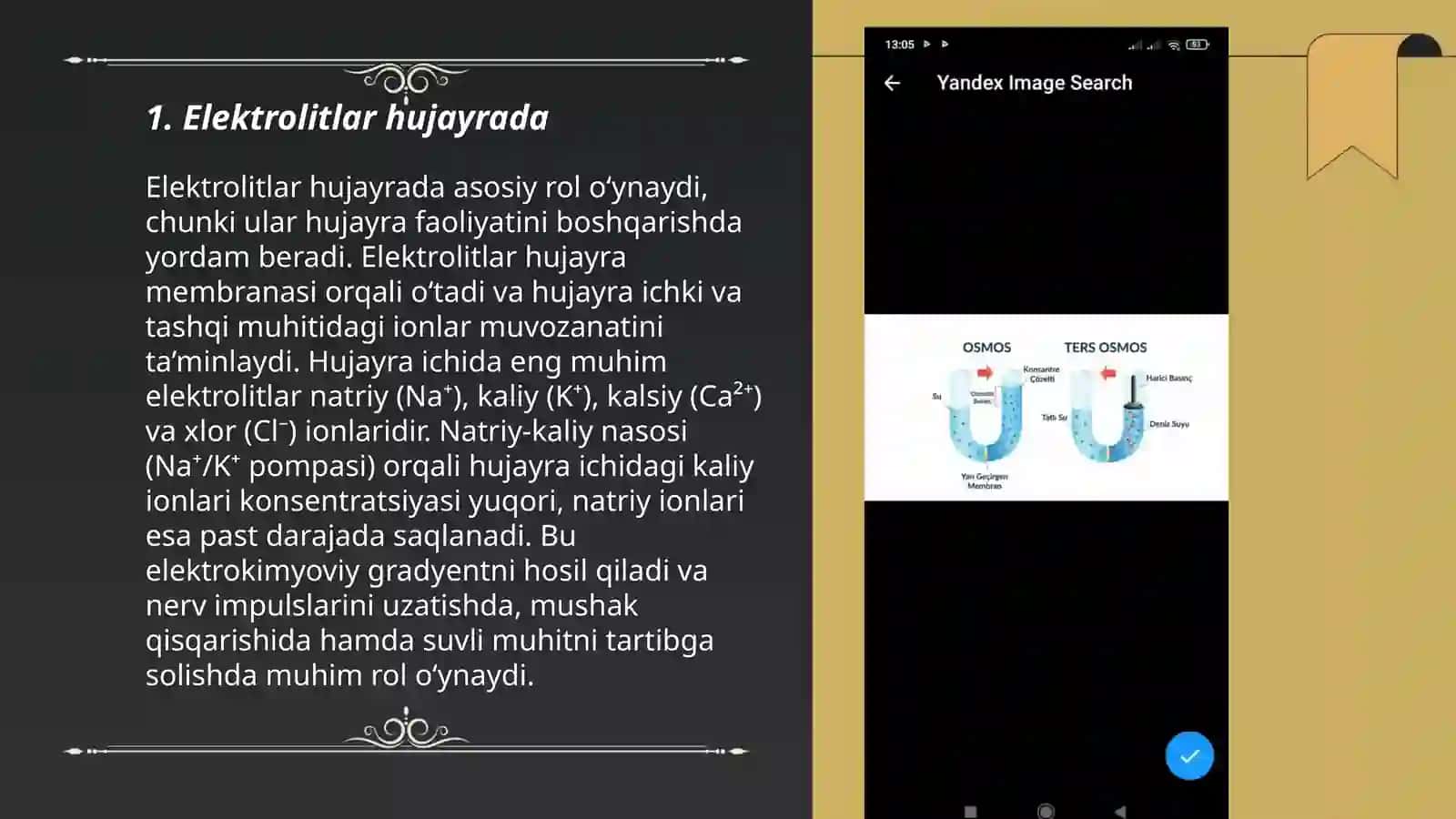Elektrolitlar gomeostazi.Osmos hodisasi 3