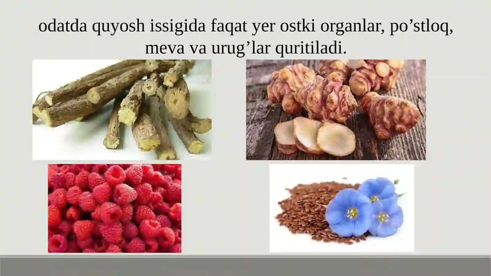 Dorivor O'simliklar Xom Ashyosini Quritish Usullari 3