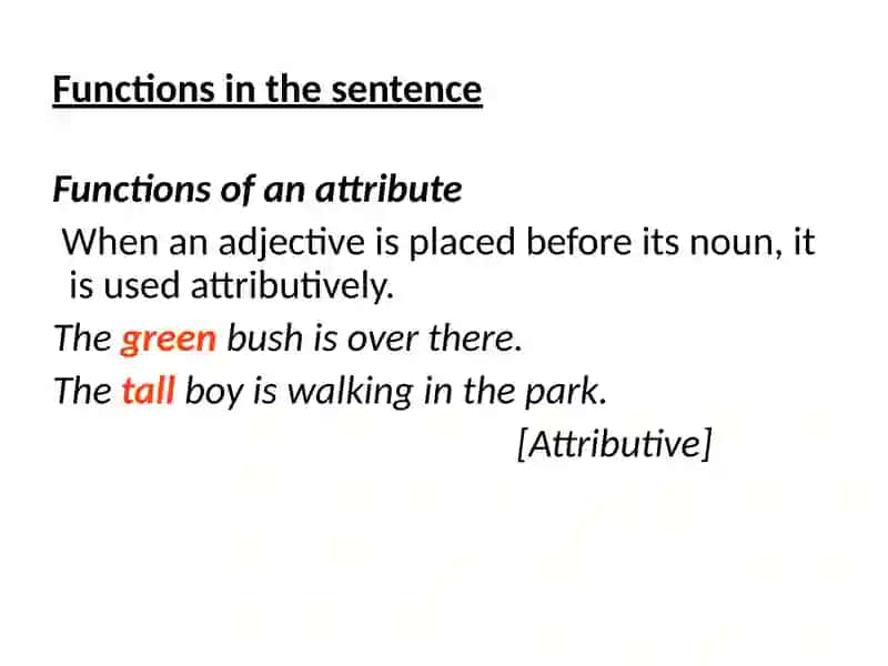 Adjective 3