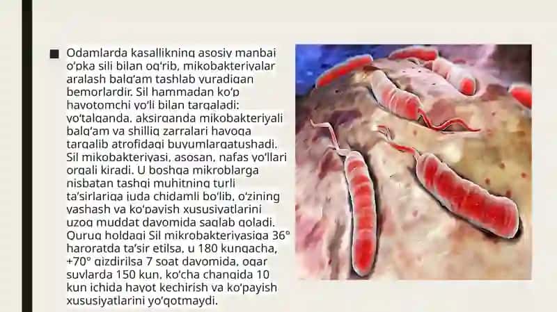 sil 3