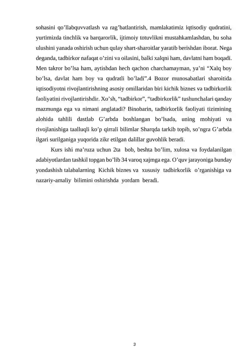 Kichik biznes va xususiy tadbirkorlikning mohiyati va mazmuni 3