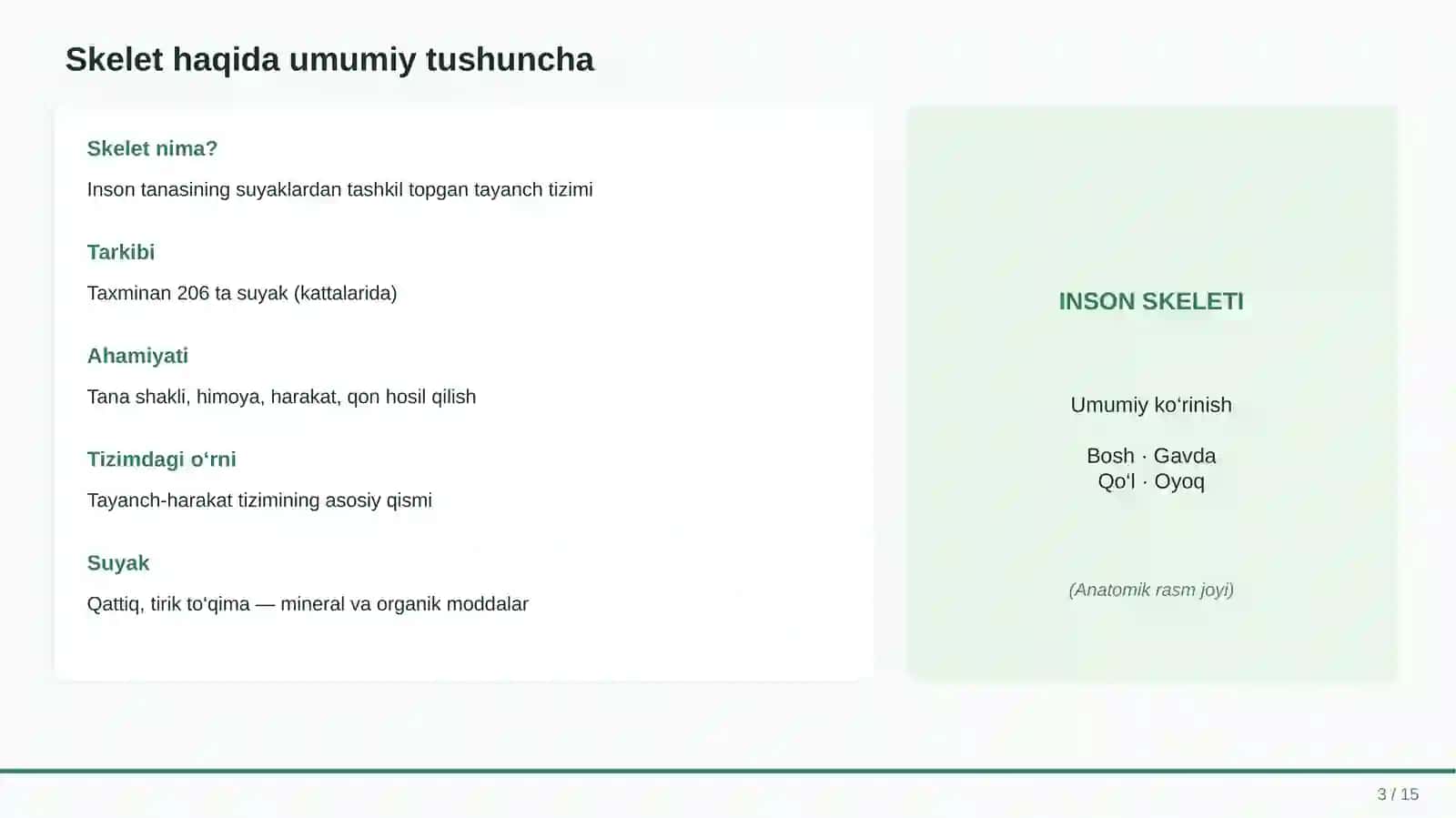 INSON SKELETI VA UNING TUZILISHI 3
