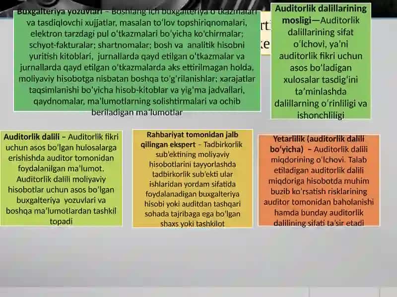 Auditorlik Dalillar 3