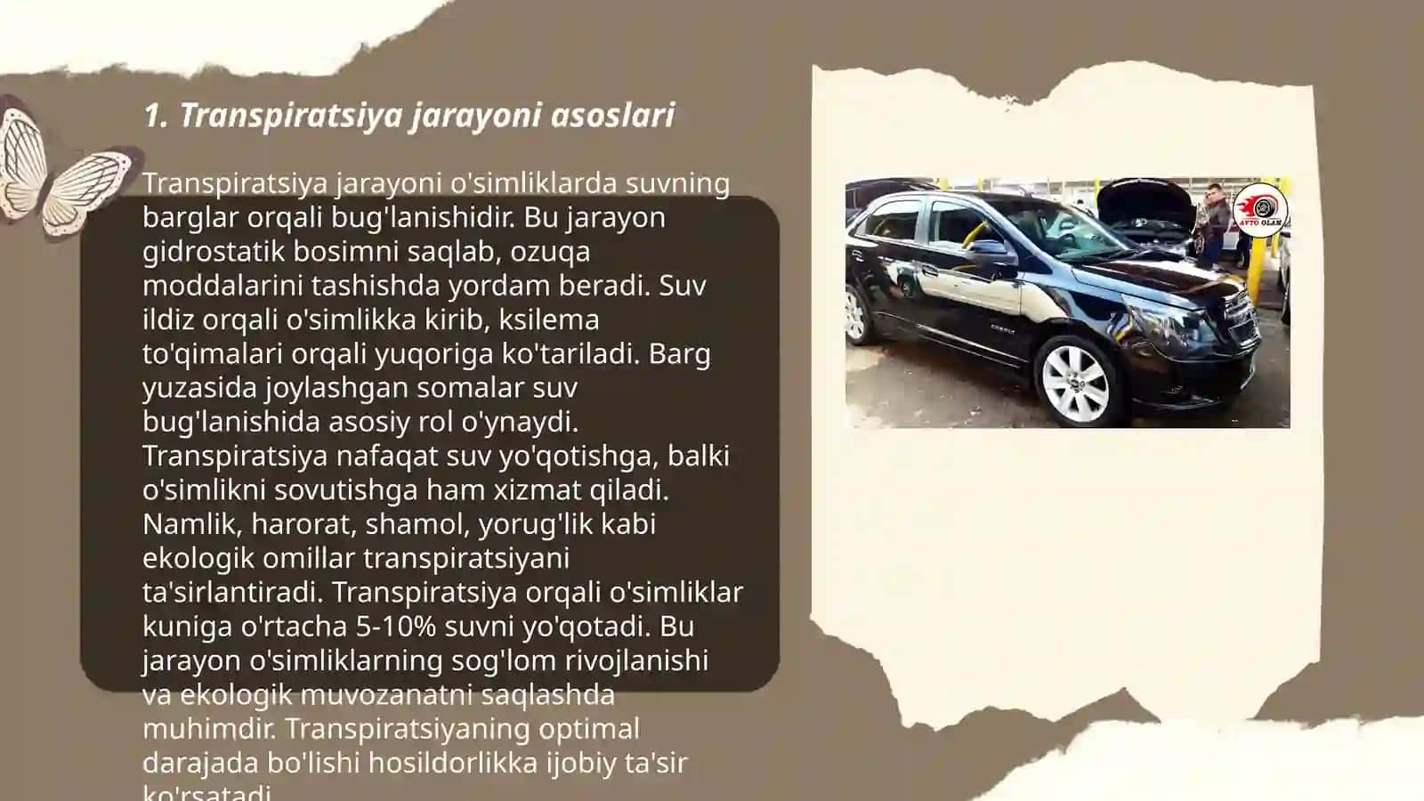 Transpiratsiya jarayonini xlor kobalt usulida aniqlash 3